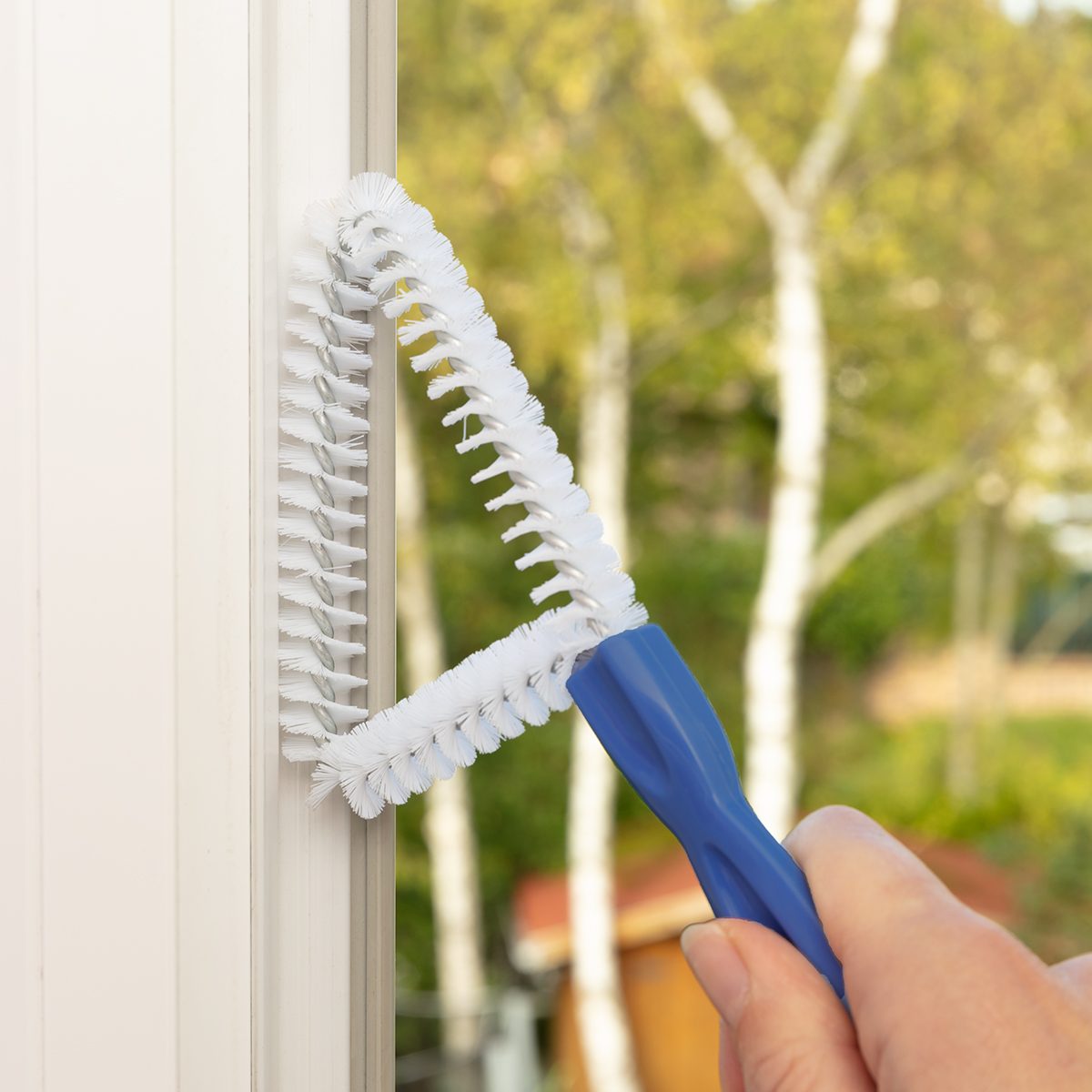 Utilisation de la brosse rails de fenêtres Eléphant Maison