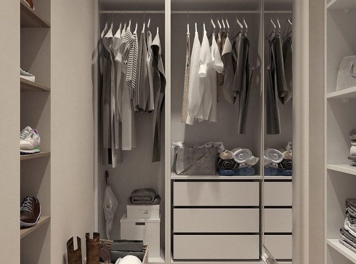 image d'un dressing chic rangé et organisé